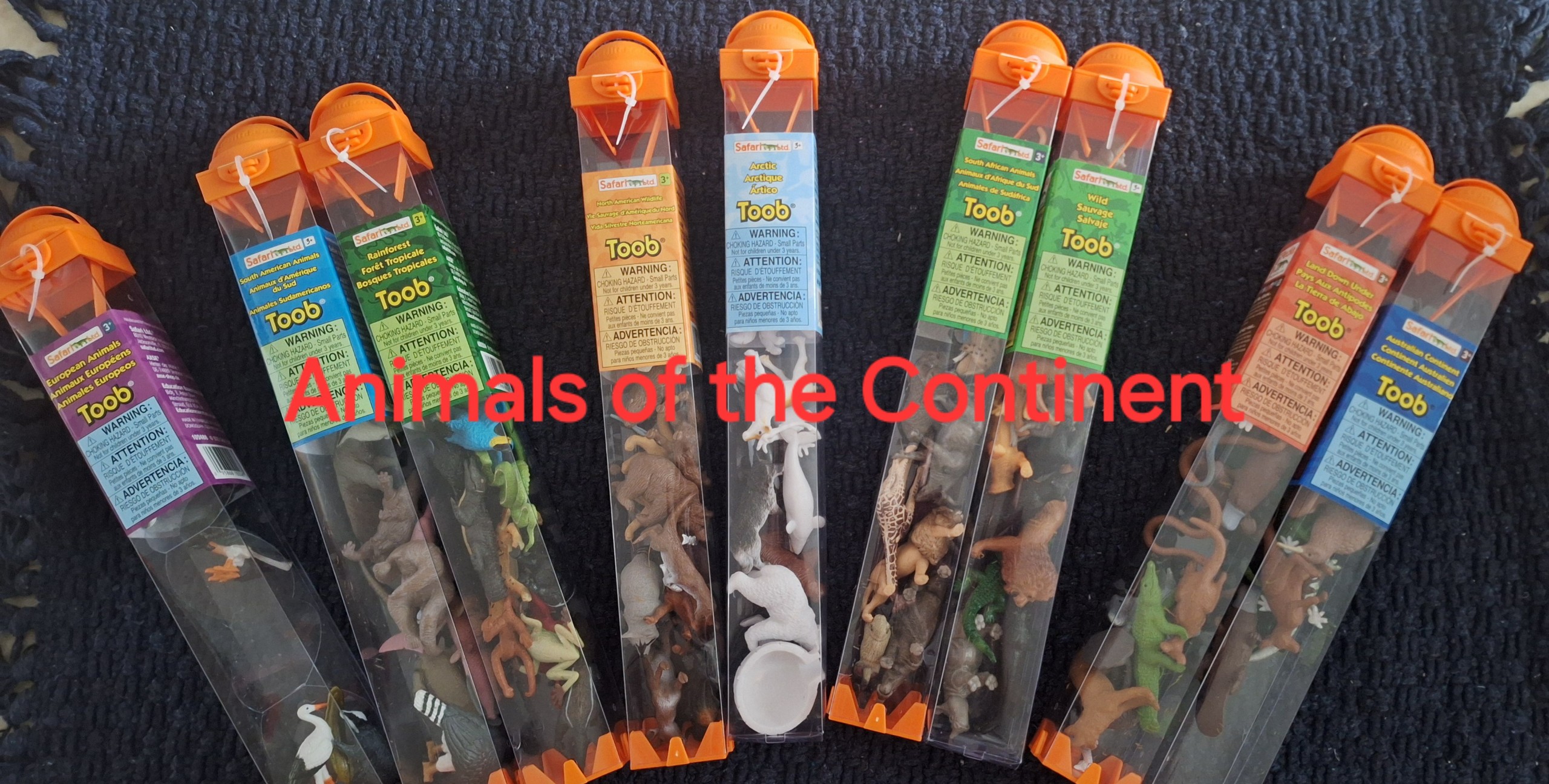 $11.00 per tube (Animals of Continent)